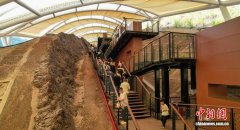 （走进中国乡村）重庆云阳恐龙经济渐热 多种文博场景激活“世界龙乡”